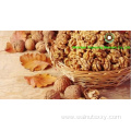 Foods for longevity Chinese Walnut Kernels Light Quarters